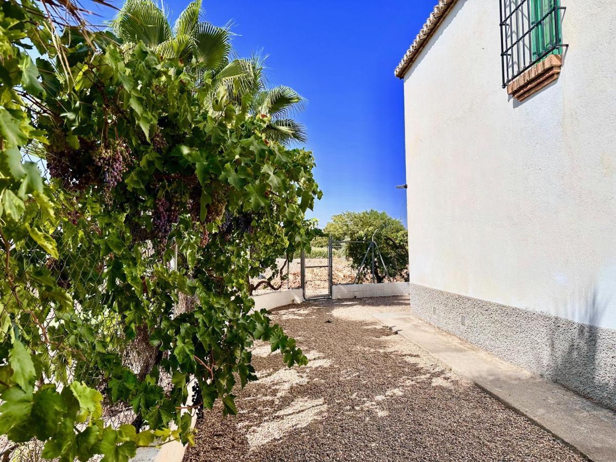 Encantador Cortijo La Emiliana A 5 Minutos Del Centro Churriana de la Vega Eksteriør billede